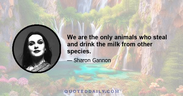 We are the only animals who steal and drink the milk from other species.