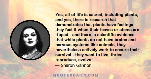 Yes, all of life is sacred, including plants; and yes, there is research that demonstrates that plants have feelings - they feel it when their leaves or stems are ripped - and there is scientific evidence that while