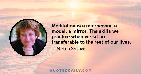 Meditation is a microcosm, a model, a mirror. The skills we practice when we sit are transferable to the rest of our lives.