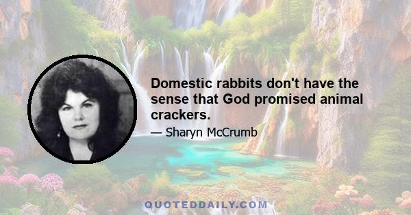 Domestic rabbits don't have the sense that God promised animal crackers.