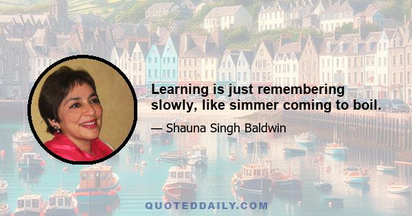 Learning is just remembering slowly, like simmer coming to boil.