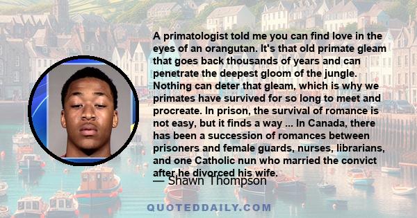 A primatologist told me you can find love in the eyes of an orangutan. It's that old primate gleam that goes back thousands of years and can penetrate the deepest gloom of the jungle. Nothing can deter that gleam, which 