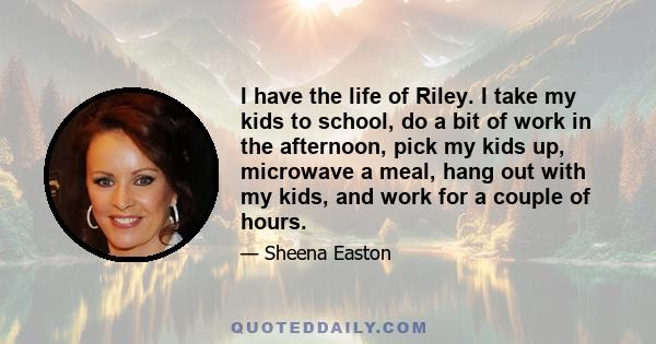 I have the life of Riley. I take my kids to school, do a bit of work in the afternoon, pick my kids up, microwave a meal, hang out with my kids, and work for a couple of hours.