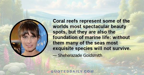 Coral reefs represent some of the worlds most spectacular beauty spots, but they are also the foundation of marine life: without them many of the seas most exquisite species will not survive.