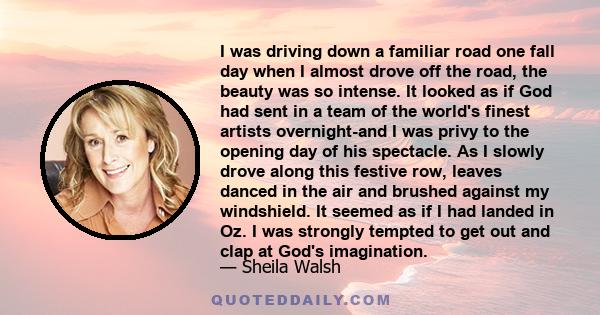 I was driving down a familiar road one fall day when I almost drove off the road, the beauty was so intense. It looked as if God had sent in a team of the world's finest artists overnight-and I was privy to the opening