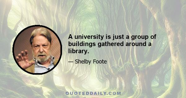 A university is just a group of buildings gathered around a library.