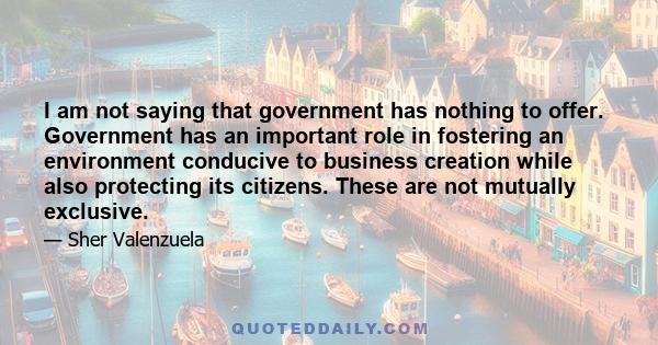 I am not saying that government has nothing to offer. Government has an important role in fostering an environment conducive to business creation while also protecting its citizens. These are not mutually exclusive.