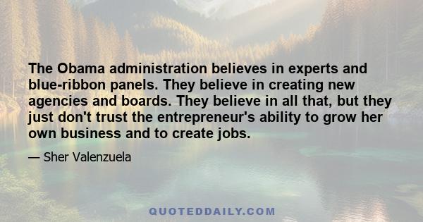 The Obama administration believes in experts and blue-ribbon panels. They believe in creating new agencies and boards. They believe in all that, but they just don't trust the entrepreneur's ability to grow her own