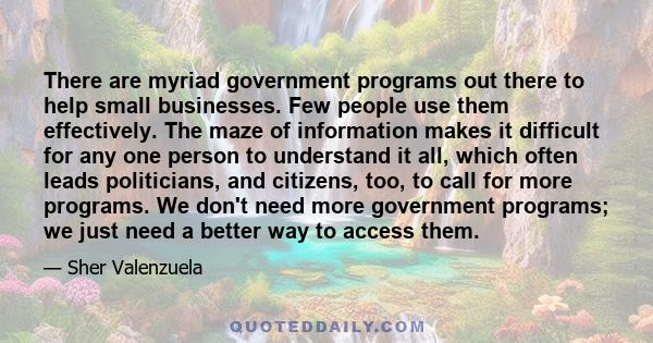 There are myriad government programs out there to help small businesses. Few people use them effectively. The maze of information makes it difficult for any one person to understand it all, which often leads