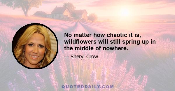 No matter how chaotic it is, wildflowers will still spring up in the middle of nowhere.