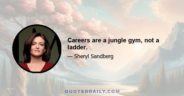 Careers are a jungle gym, not a ladder.