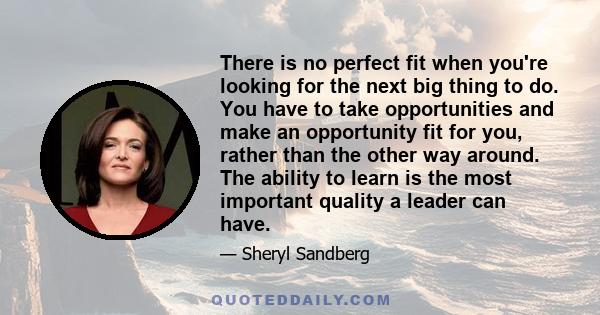 There is no perfect fit when you're looking for the next big thing to do. You have to take opportunities and make an opportunity fit for you, rather than the other way around. The ability to learn is the most important