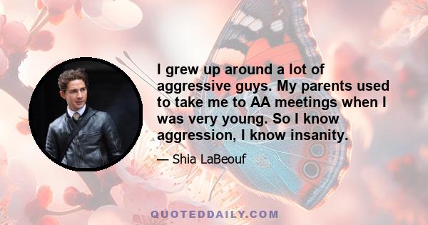 I grew up around a lot of aggressive guys. My parents used to take me to AA meetings when I was very young. So I know aggression, I know insanity.