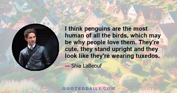 I think penguins are the most human of all the birds, which may be why people love them. They're cute, they stand upright and they look like they're wearing tuxedos.