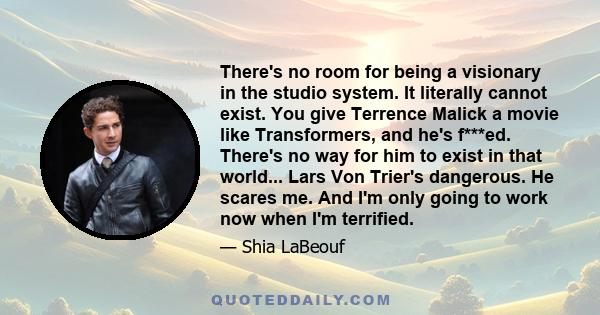 There's no room for being a visionary in the studio system. It literally cannot exist. You give Terrence Malick a movie like Transformers, and he's f***ed. There's no way for him to exist in that world... Lars Von