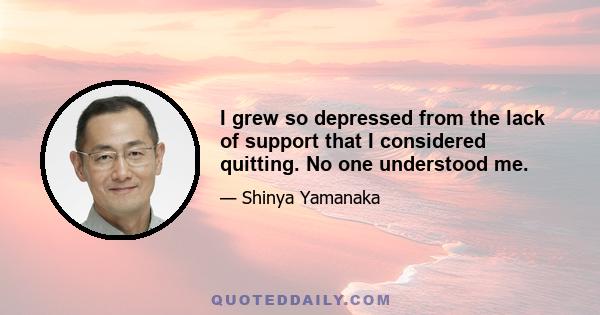 I grew so depressed from the lack of support that I considered quitting. No one understood me.