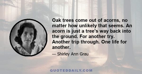 Oak trees come out of acorns, no matter how unlikely that seems. An acorn is just a tree's way back into the ground. For another try. Another trip through. One life for another.