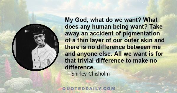 My God, what do we want? What does any human being want? Take away an accident of pigmentation of a thin layer of our outer skin and there is no difference between me and anyone else. All we want is for that trivial