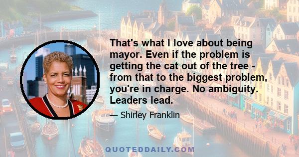 That's what I love about being mayor. Even if the problem is getting the cat out of the tree - from that to the biggest problem, you're in charge. No ambiguity. Leaders lead.