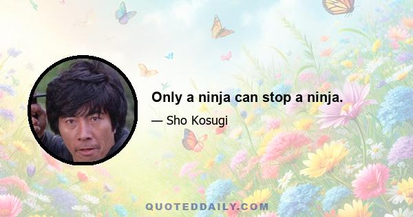 Only a ninja can stop a ninja.