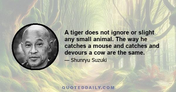 A tiger does not ignore or slight any small animal. The way he catches a mouse and catches and devours a cow are the same.