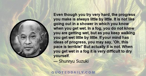 Even though you try very hard, the progress you make is always little by little. It is not like going out in a shower in which you know when you get wet. In a fog, you do not know you are getting wet, but as you keep