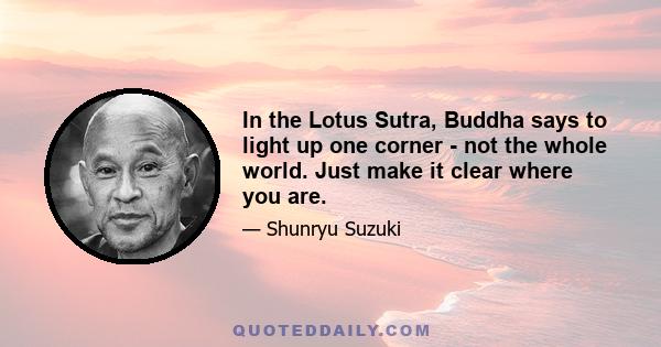 In the Lotus Sutra, Buddha says to light up one corner - not the whole world. Just make it clear where you are.