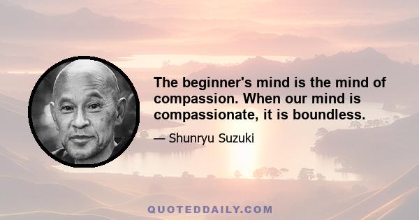 The beginner's mind is the mind of compassion. When our mind is compassionate, it is boundless.