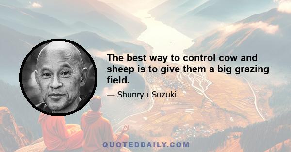 The best way to control cow and sheep is to give them a big grazing field.