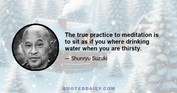 The true practice to meditation is to sit as if you where drinking water when you are thirsty.