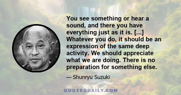 You see something or hear a sound, and there you have everything just as it is. [...] Whatever you do, it should be an expression of the same deep activity. We should appreciate what we are doing. There is no