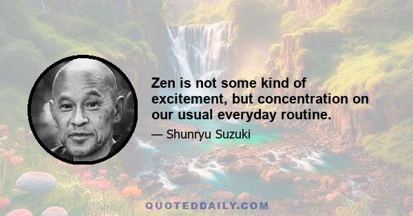 Zen is not some kind of excitement, but concentration on our usual everyday routine.