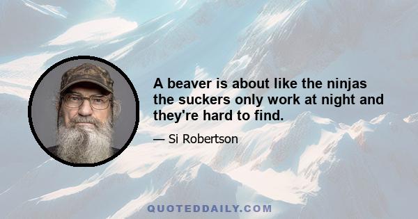 A beaver is about like the ninjas the suckers only work at night and they're hard to find.