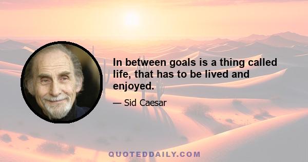 In between goals is a thing called life, that has to be lived and enjoyed.