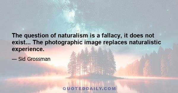 The question of naturalism is a fallacy, it does not exist... The photographic image replaces naturalistic experience.