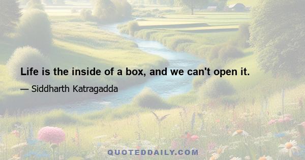 Life is the inside of a box, and we can't open it.