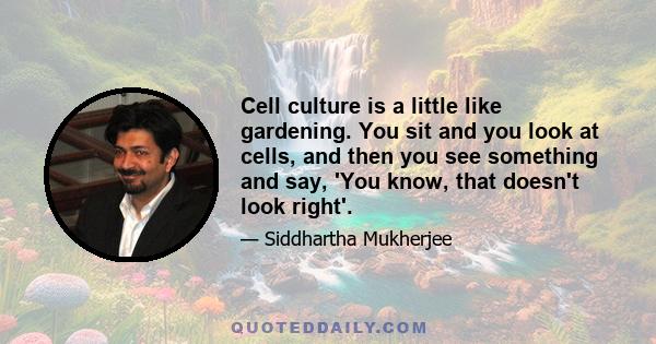 Cell culture is a little like gardening. You sit and you look at cells, and then you see something and say, 'You know, that doesn't look right'.