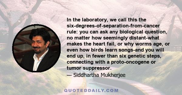 In the laboratory, we call this the six-degrees-of-separation-from-cancer rule: you can ask any biological question, no matter how seemingly distant-what makes the heart fail, or why worms age, or even how birds learn