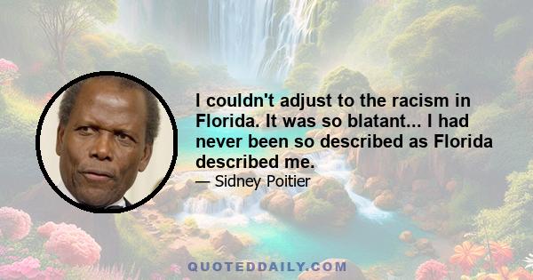 I couldn't adjust to the racism in Florida. It was so blatant... I had never been so described as Florida described me.