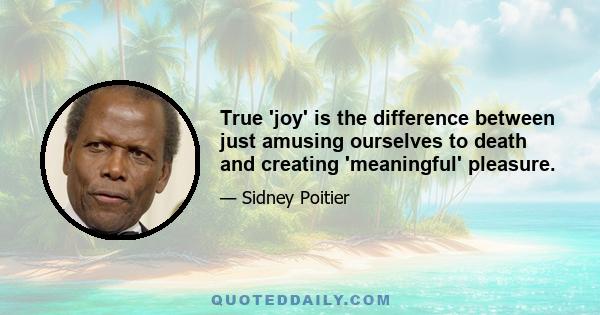 True 'joy' is the difference between just amusing ourselves to death and creating 'meaningful' pleasure.