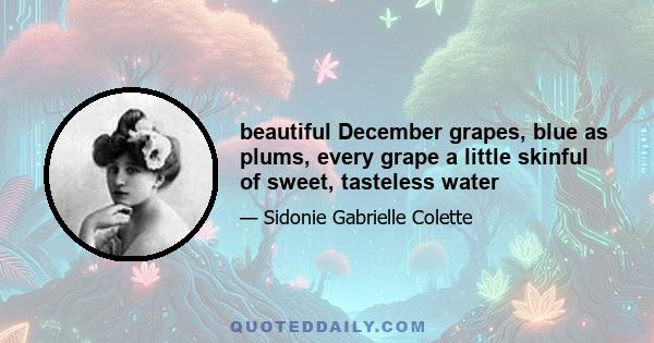 beautiful December grapes, blue as plums, every grape a little skinful of sweet, tasteless water