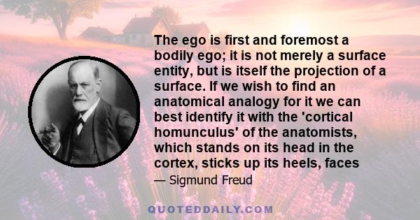 The ego is first and foremost a bodily ego; it is not merely a surface entity, but is itself the projection of a surface. If we wish to find an anatomical analogy for it we can best identify it with the 'cortical