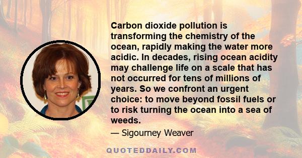 Carbon dioxide pollution is transforming the chemistry of the ocean, rapidly making the water more acidic. In decades, rising ocean acidity may challenge life on a scale that has not occurred for tens of millions of