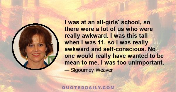 I was at an all-girls' school, so there were a lot of us who were really awkward. I was this tall when I was 11, so I was really awkward and self-conscious. No one would really have wanted to be mean to me. I was too