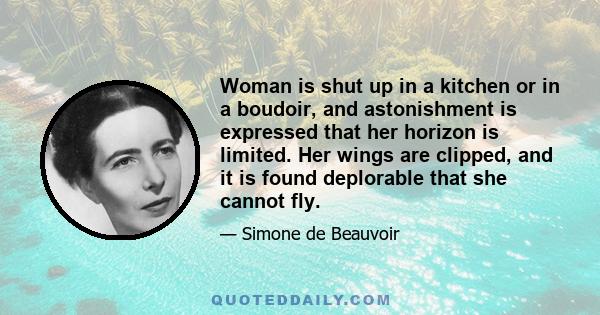 Woman is shut up in a kitchen or in a boudoir, and astonishment is expressed that her horizon is limited. Her wings are clipped, and it is found deplorable that she cannot fly.