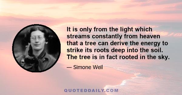 It is only from the light which streams constantly from heaven that a tree can derive the energy to strike its roots deep into the soil. The tree is in fact rooted in the sky.