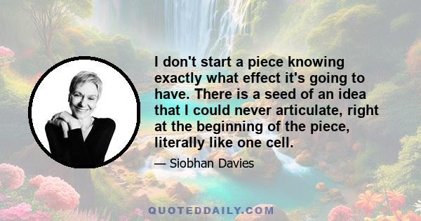 I don't start a piece knowing exactly what effect it's going to have. There is a seed of an idea that I could never articulate, right at the beginning of the piece, literally like one cell.