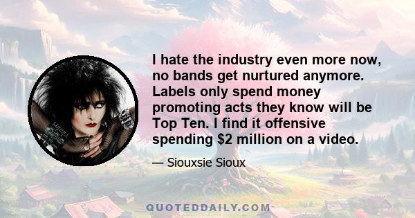 I hate the industry even more now, no bands get nurtured anymore. Labels only spend money promoting acts they know will be Top Ten. I find it offensive spending $2 million on a video.