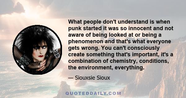 What people don't understand is when punk started it was so innocent and not aware of being looked at or being a phenomenon and that's what everyone gets wrong. You can't consciously create something that's important,