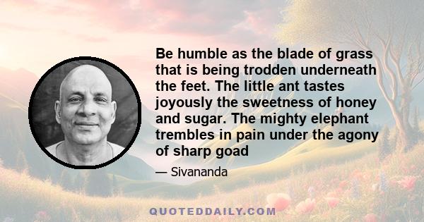 Be humble as the blade of grass that is being trodden underneath the feet. The little ant tastes joyously the sweetness of honey and sugar. The mighty elephant trembles in pain under the agony of sharp goad